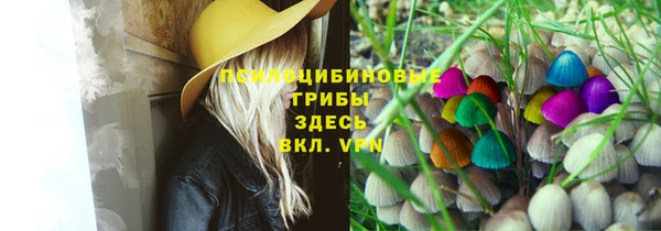 ECSTASY Алзамай