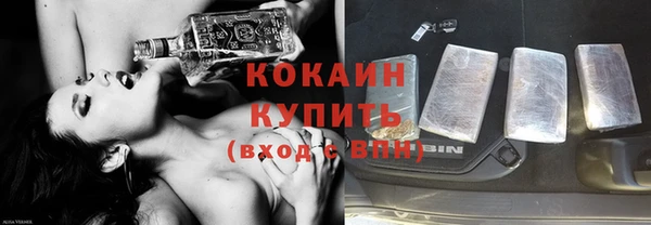 ECSTASY Алзамай