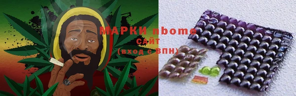 ECSTASY Алзамай