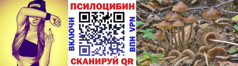 Галлюциногенные грибы GOLDEN TEACHER  площадка состав  Сураж 